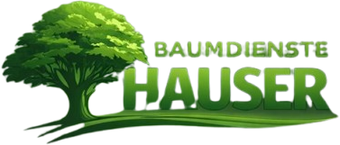 ChatGPT_Image_22._Dez._2025__14_20_42-removebg-preview