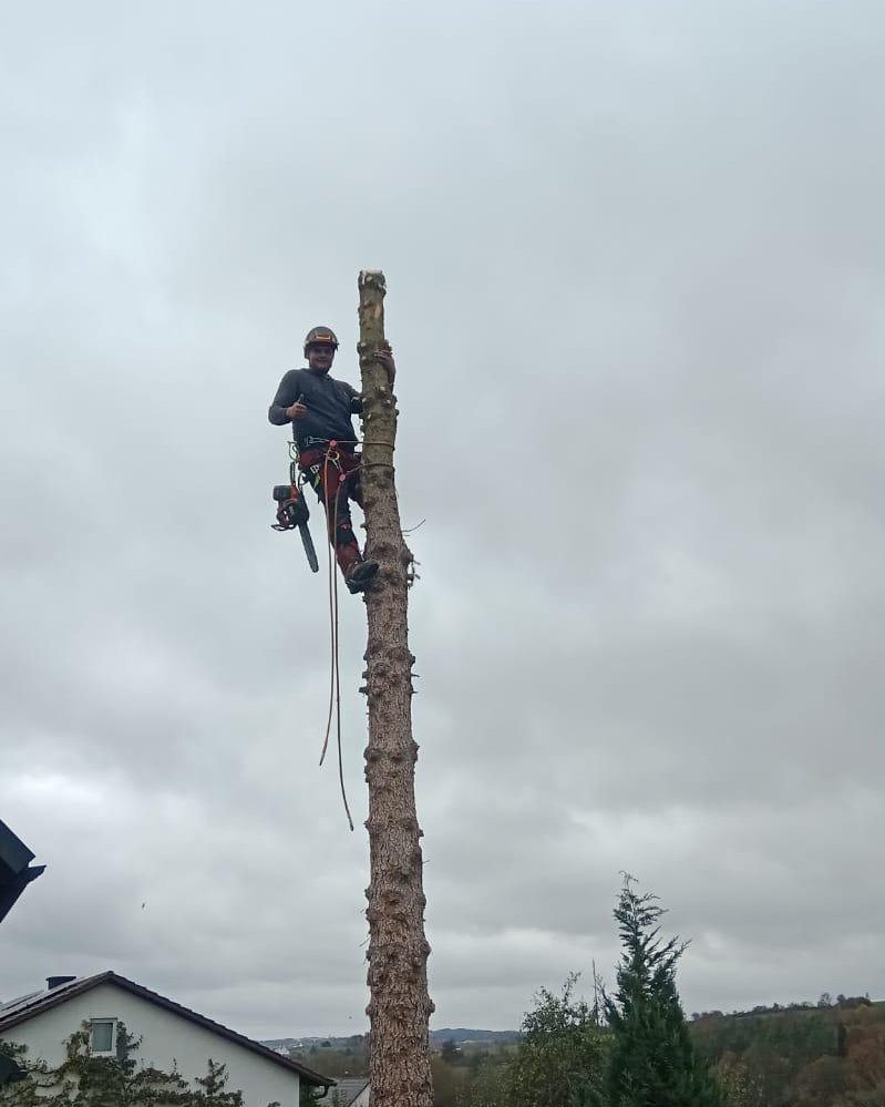 WhatsApp Image 2025-12-22 at 14.00.59 (5)